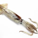 5ea1eb7491e9c508753bcde6cd75d459_s