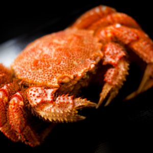 浜茹　特大毛蟹　700gサイズ